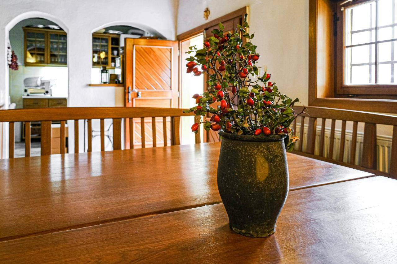 Aparthotel Sklep U Hrabalu Hustopeče Esterno foto